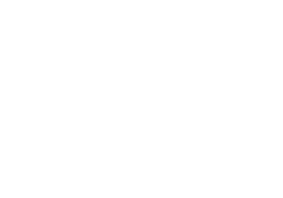 Helm Consulting - Innovative Campaigning